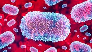 Unité Parasitologie et Entomologie Médicale